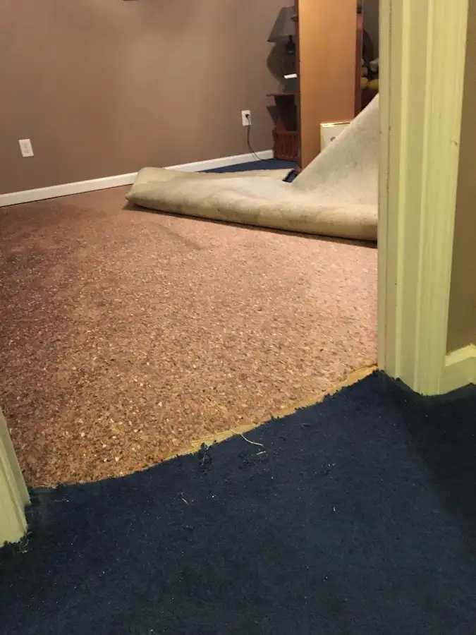 Carpet pad removal revealing water damage during Water Mitigation Services in Pace