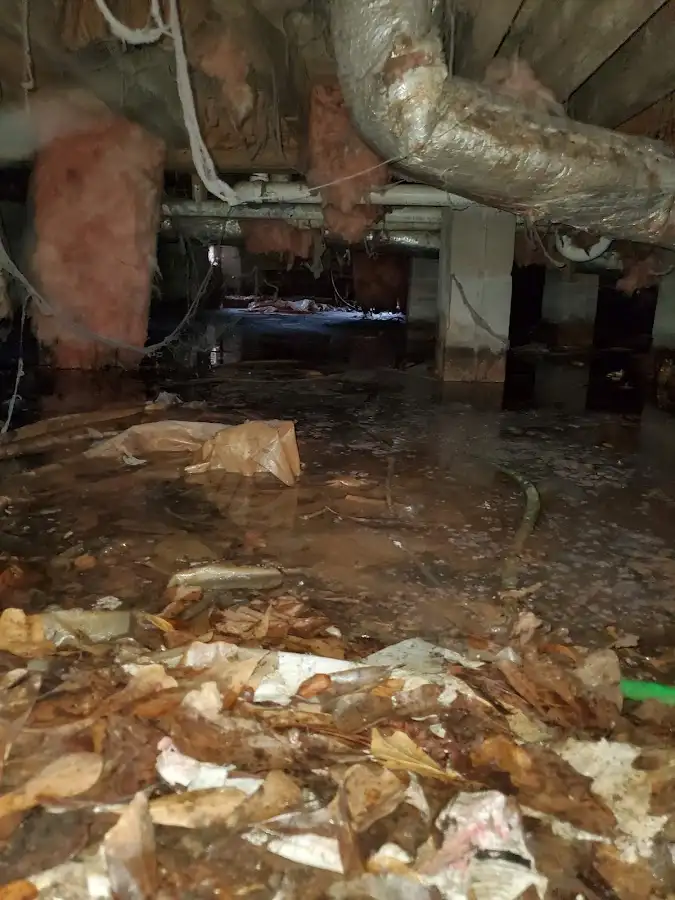 Crawl space flood assessment for Leak Detection & Repair in Pace