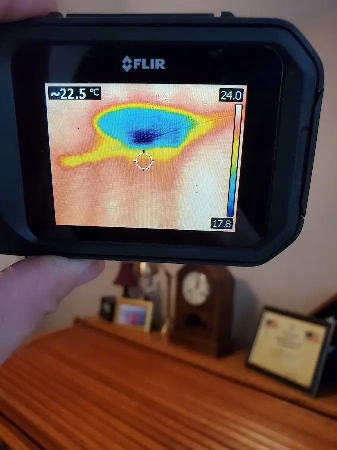 Thermal imaging inspection for water damage in Pace